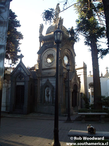 A Recoleta Cemetery cat looking at a tomb
