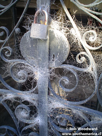 Cobwebs and lock at Recoleta Cemetery in Buenos Aires