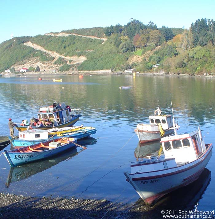 Some boats at Angelmó Chile with Isla Tengo in the background