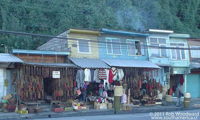 Houses on the way to Angelmó Chile