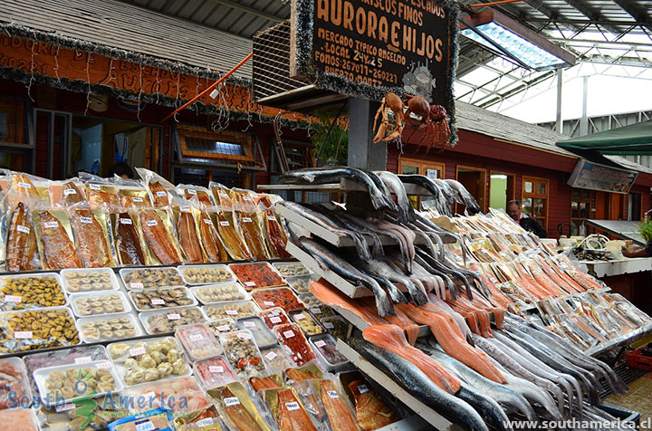 Angelmó Fish Market, Puerto Montt, Chile
