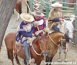 Chilean Huasos on their horses