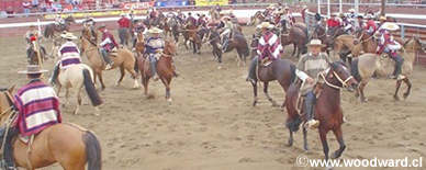 Chilean Rodeo