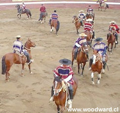 Chilean Rodeo