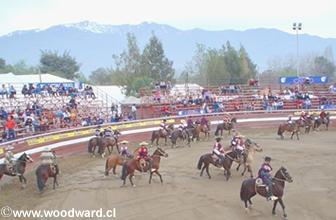 Chilean Rodeo