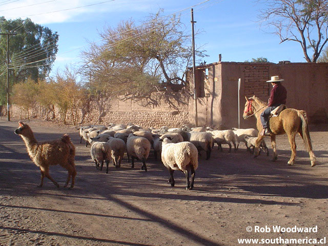 Pedestrians on a street at San Pedro de Atacama Chile