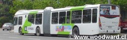 A long green bendy bus of Santiago