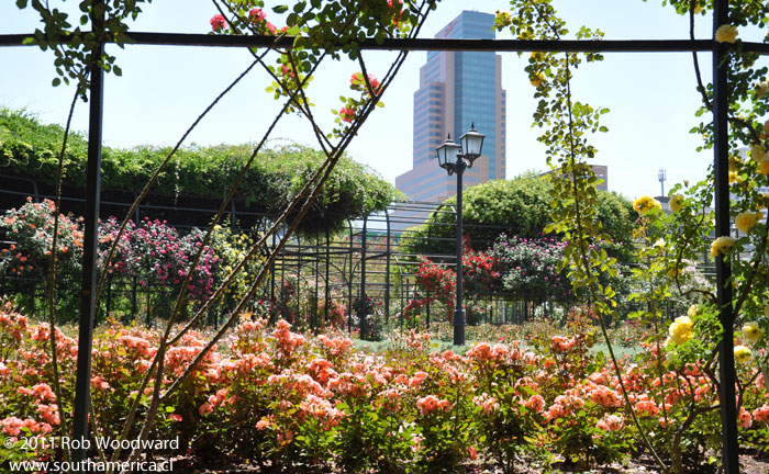 Parque Araucano Rose Gardens with a building in the background