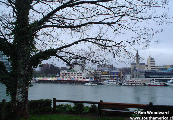 View of Valdivia from the museum across the river