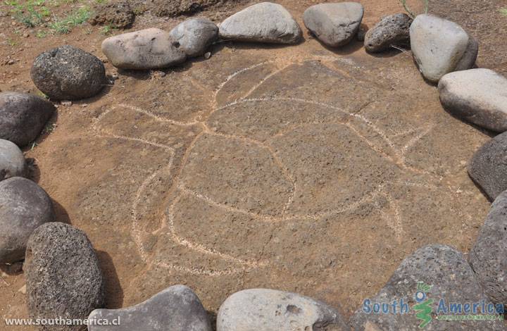 Turtle Petroglyph at Ahu Tongariki Easter Island