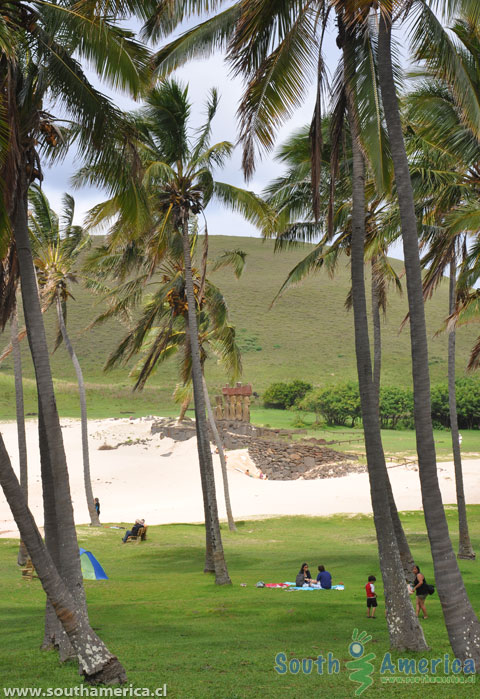 Palm Trees and Moai at Anakena Beach Easter Island