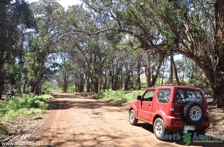 Dirt Road up Rano Kau Volcano Easter Island