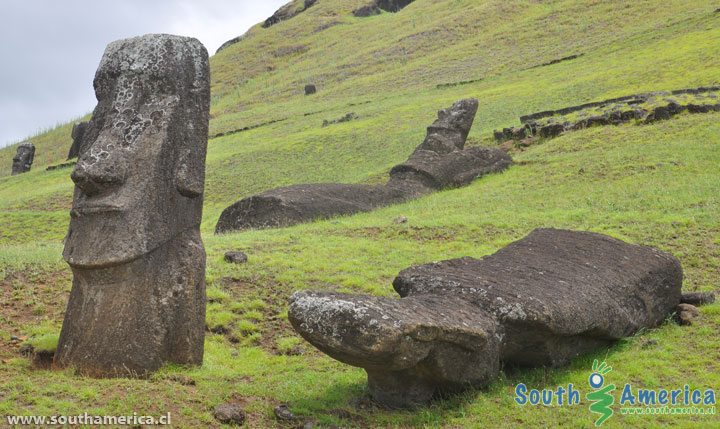 Fallen moai at Rano Raraku Easter Island