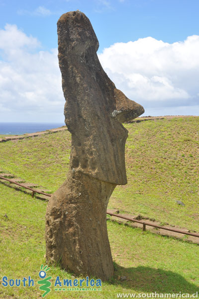 A thin moai at Rano Raraku Easter Island