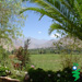 Valle del Elqui