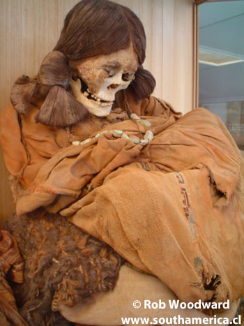 Mummy from the Museum at San Pedro de Atacama Chile
