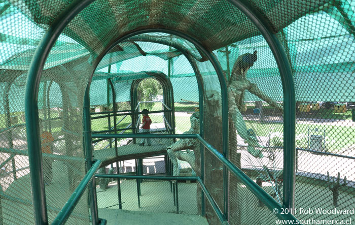 Inside the Parque Araucano Aviary