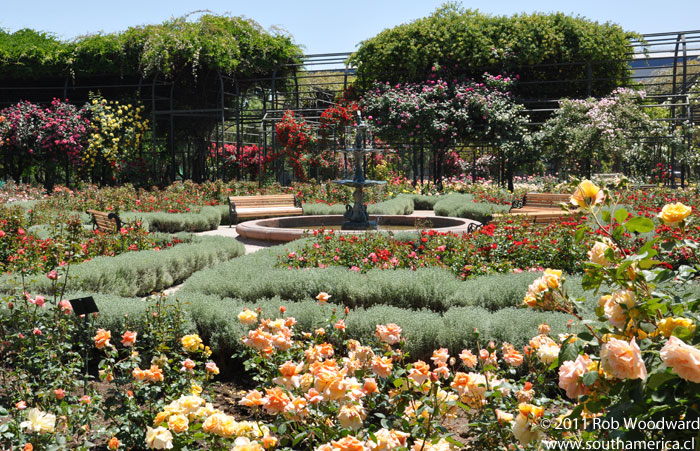 One of the plazas of the Parque Araucano Rose Gardens