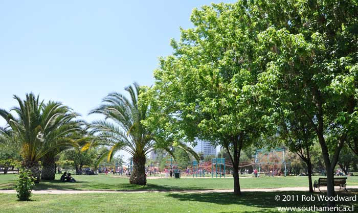 Trees and overview of Parque Araucano