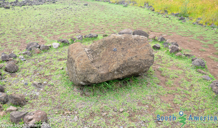 A fallen moai head at Ahu Akahanga on Easter Island