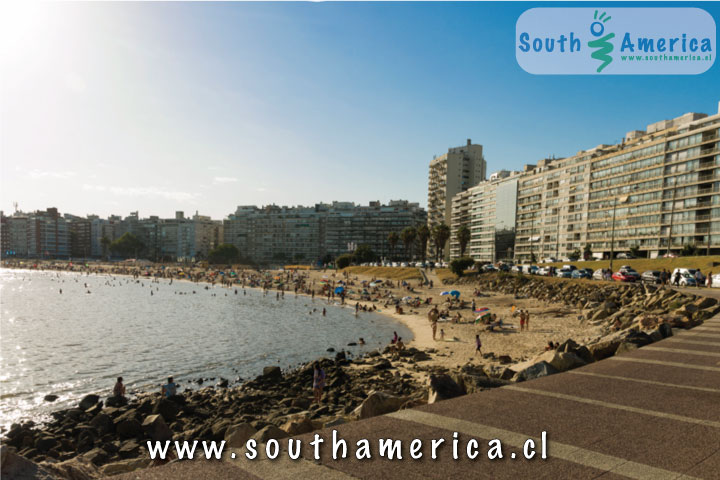 Playa Pocitos Beach Montevideo Uruguay